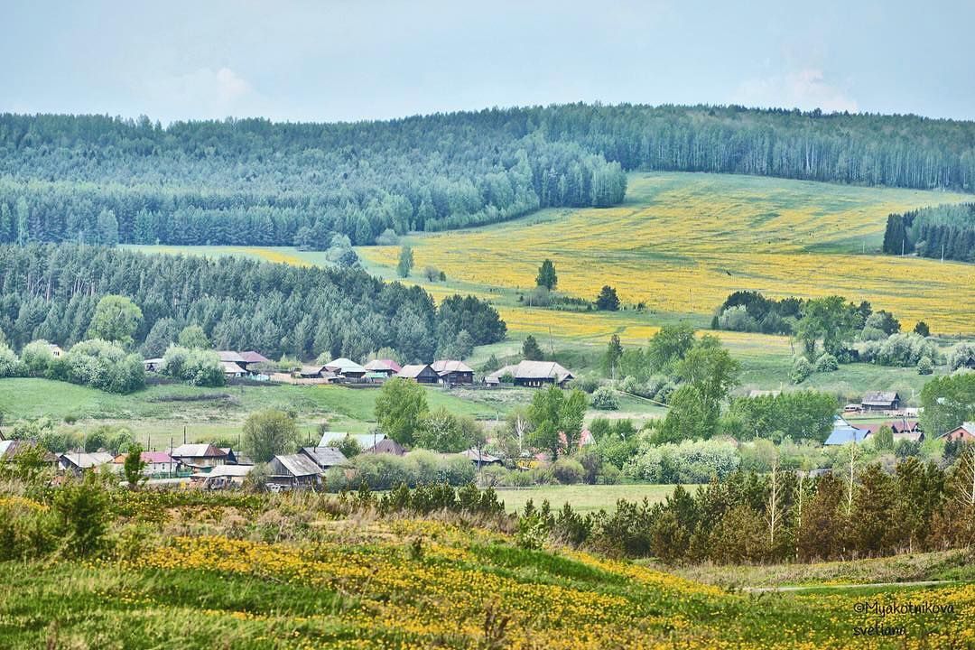 Основано село Тис.